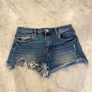 Blank NYC Denim Shorts